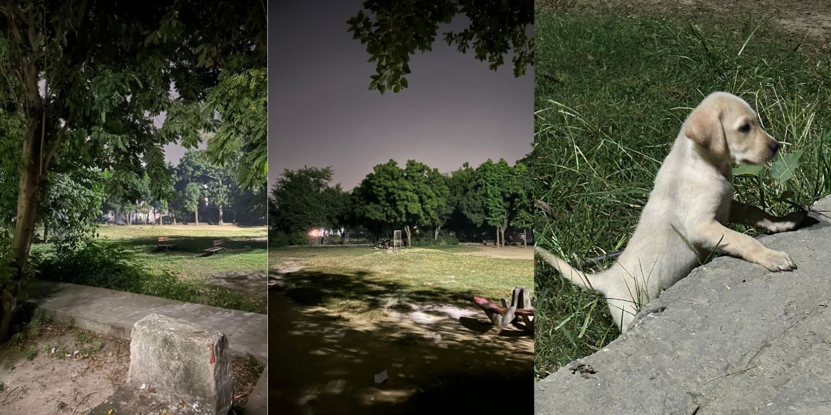 iPhone 14 Camera Samples