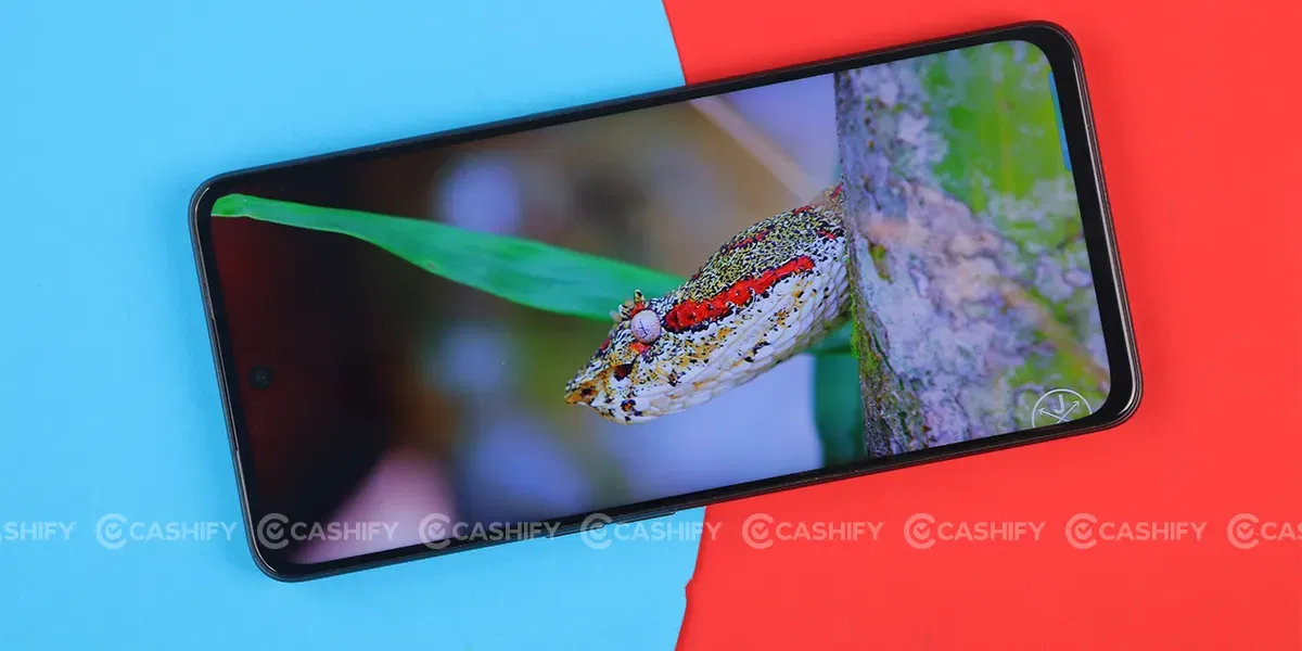 OnePlus Nord CE 3 Lite Display