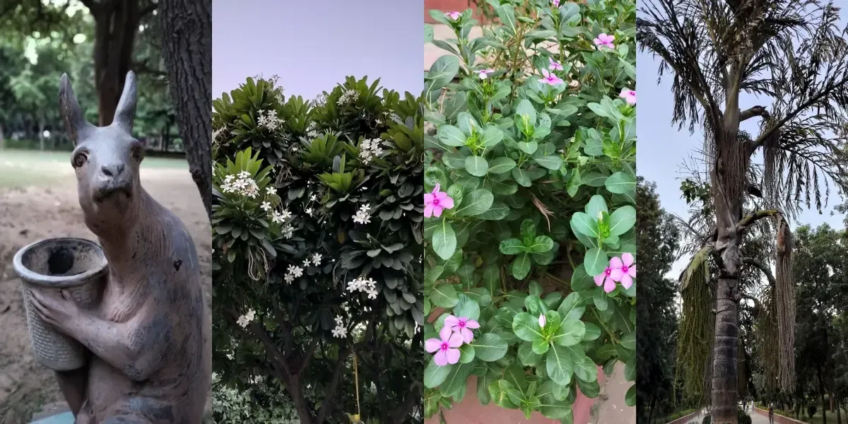 OnePlus Nord CE 3 Light Daylight shots