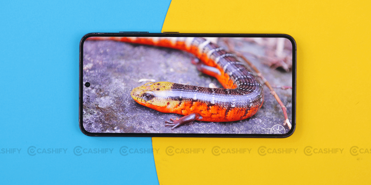 Samsung Galaxy S23 Display Quality