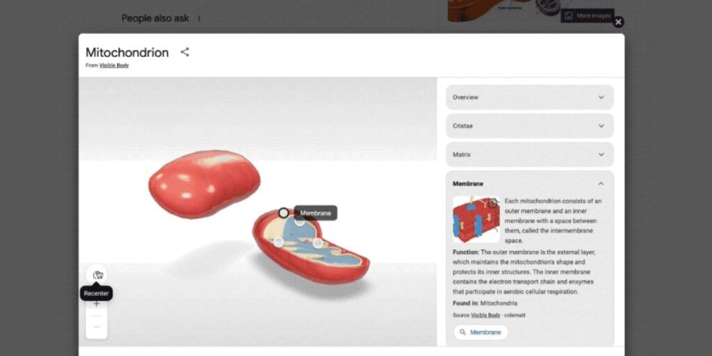 Learn STEM Concepts with Google Search