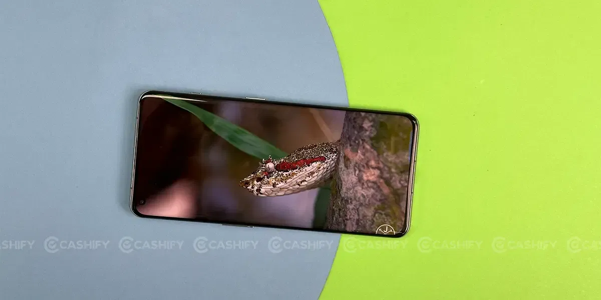 OnePlus 11 Content Watching Experience