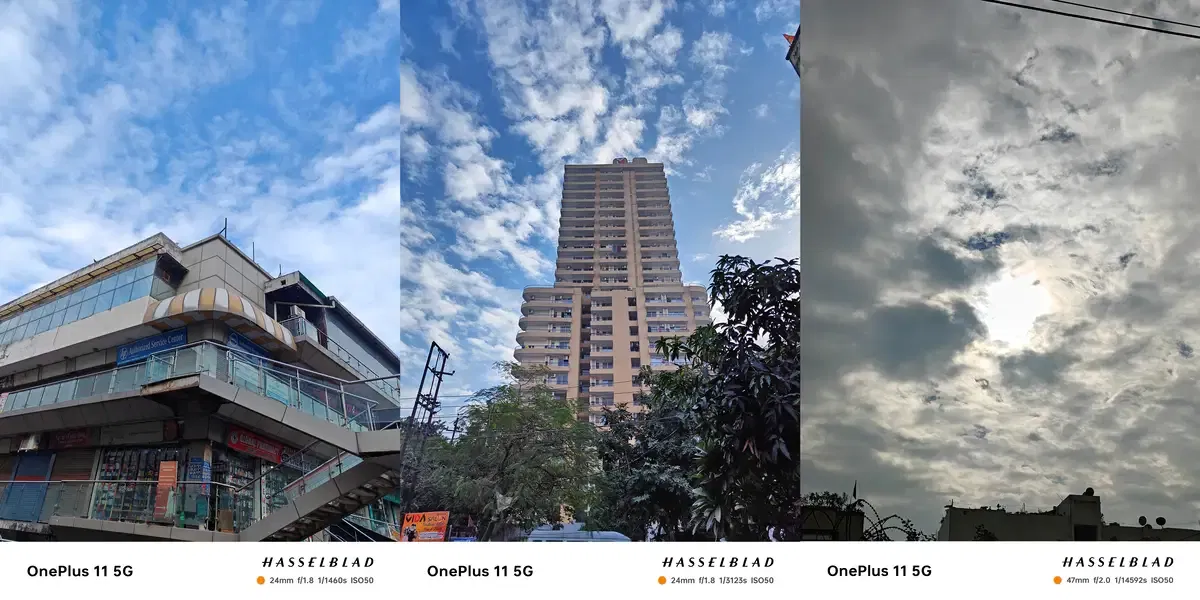 OnePlus 11 Daylight Sample 1