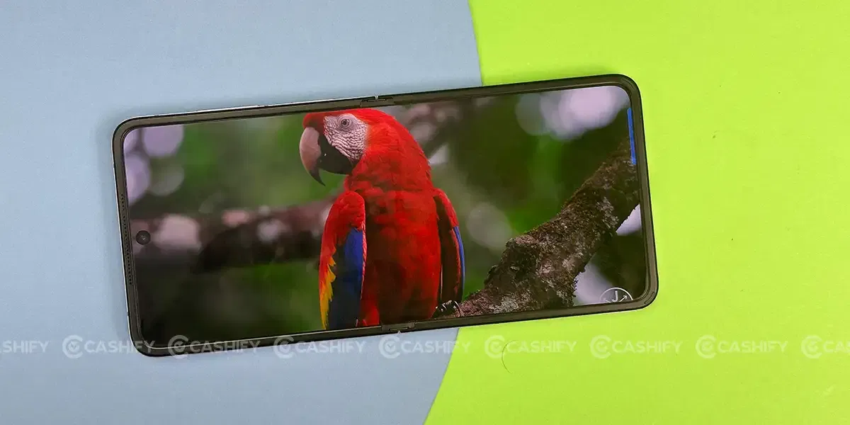 Oppo Find N2 Flip Content Consumption