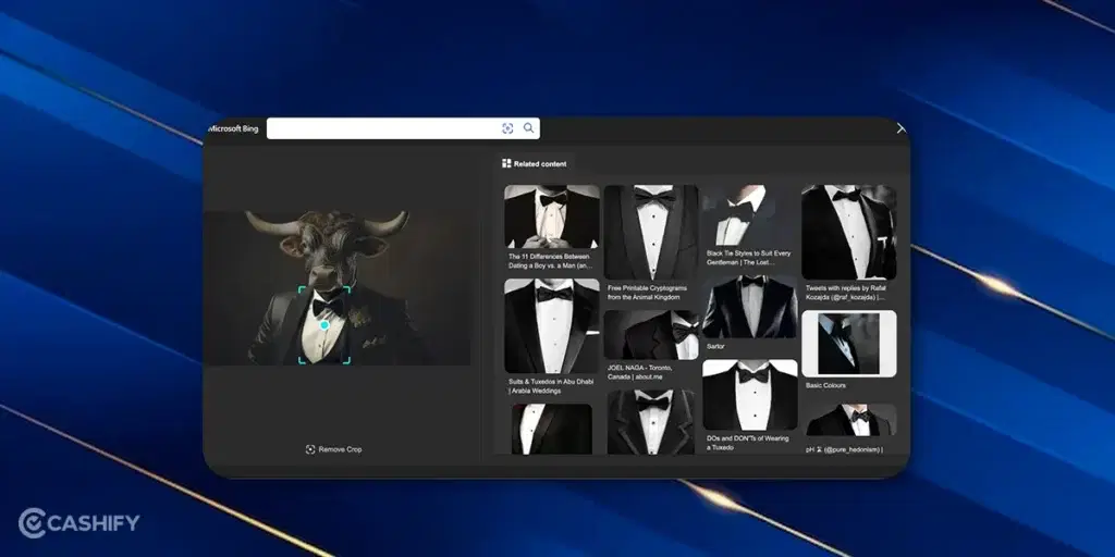 https://s3b.cashify.in/gpro/uploads/2023/12/28135341/How-To-Reverse-Image-Search-10-1024x512.webp
