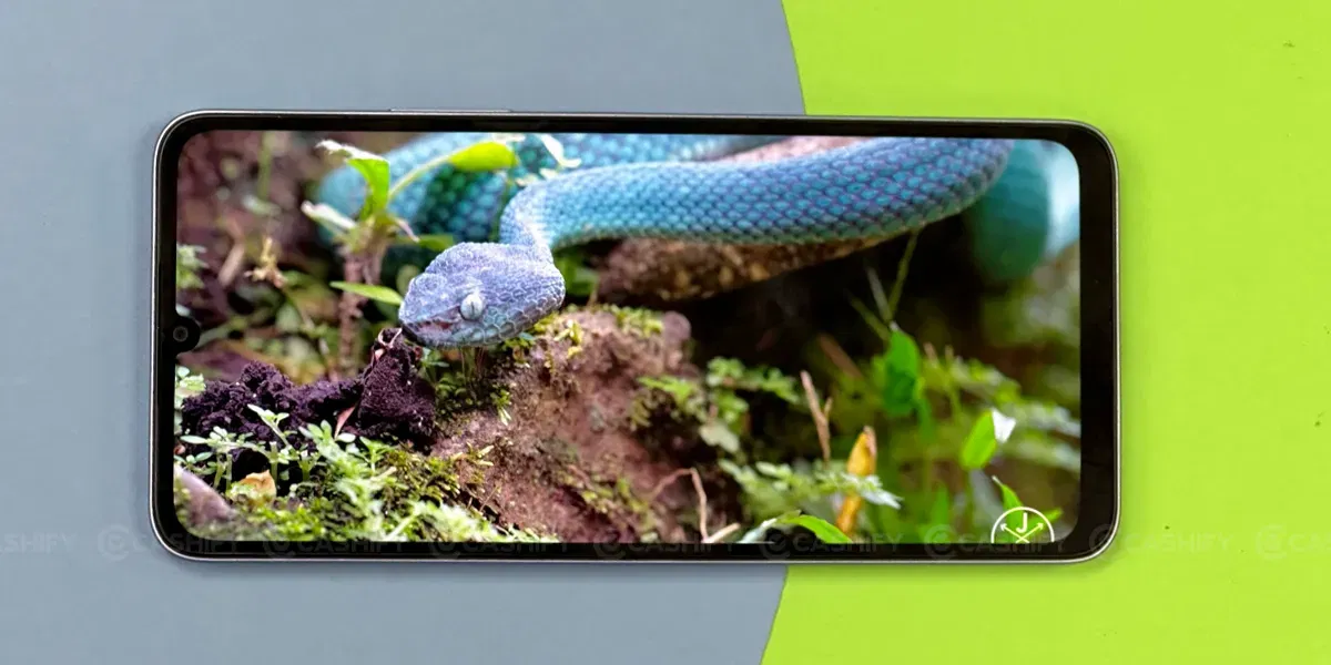 Poco M6 5G Display Experience