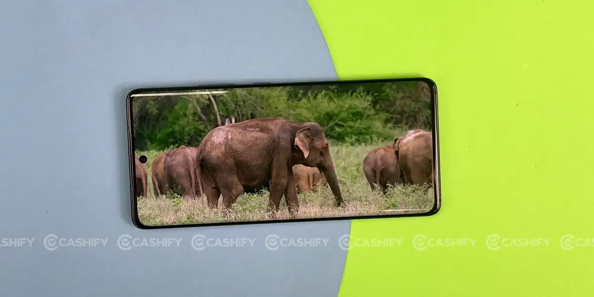 Motorola Edge 30 Fusion Content Consumption