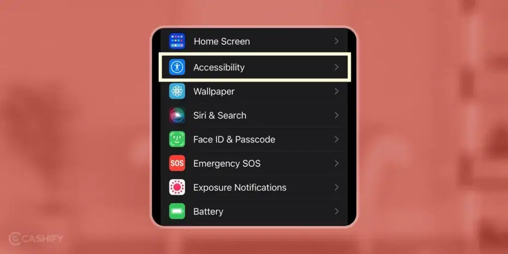 iPhone accessibility options
