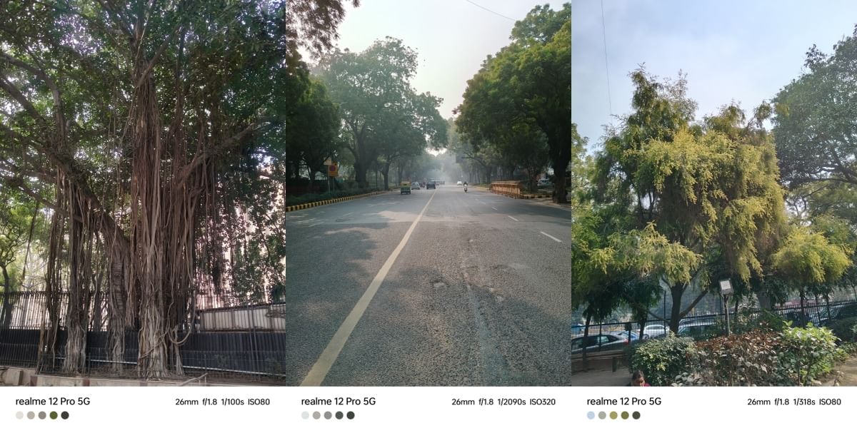 Realme 12 Pro Daylight Sample 1