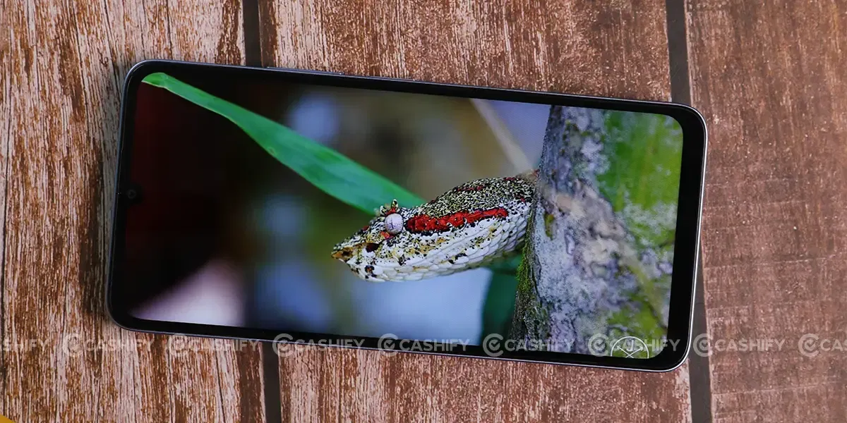 Poco C65 Content Consumption