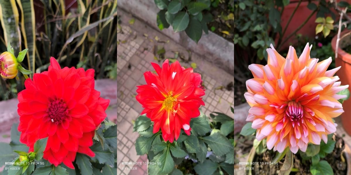 Xiaomi Redmi Note 13 Pro Plus Daylight Sample 6