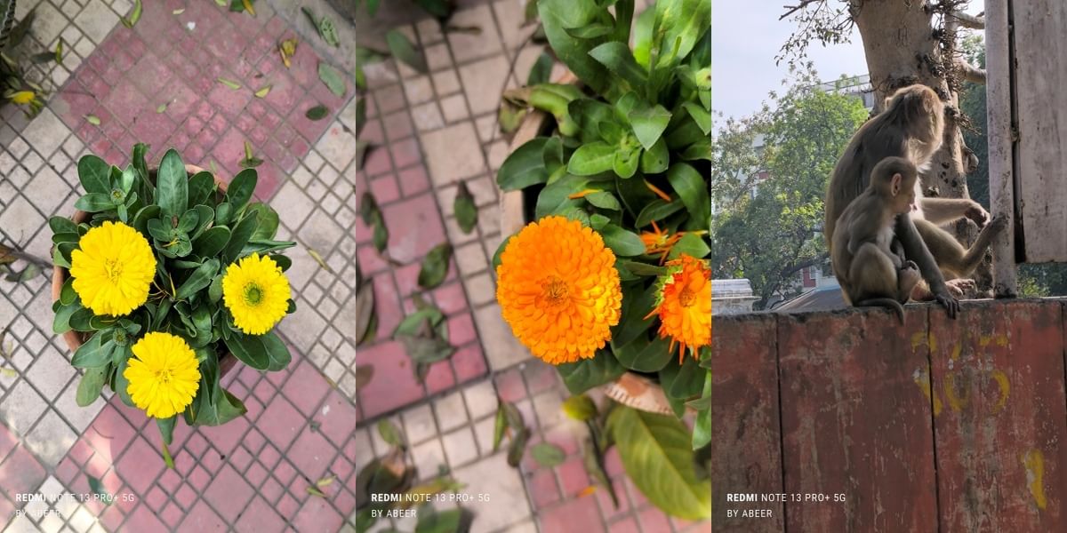 Xiaomi Redmi Note 13 Pro Plus Daylight Sample 7