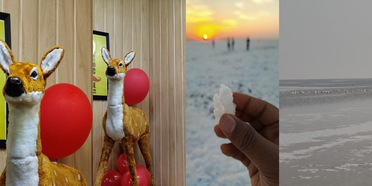 Realme 12 Pro Plus Daylight Sample 18