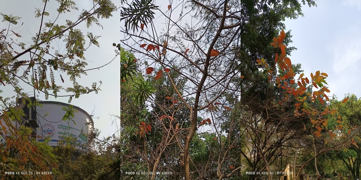 Poco X6 Neo Daylight Sample 6