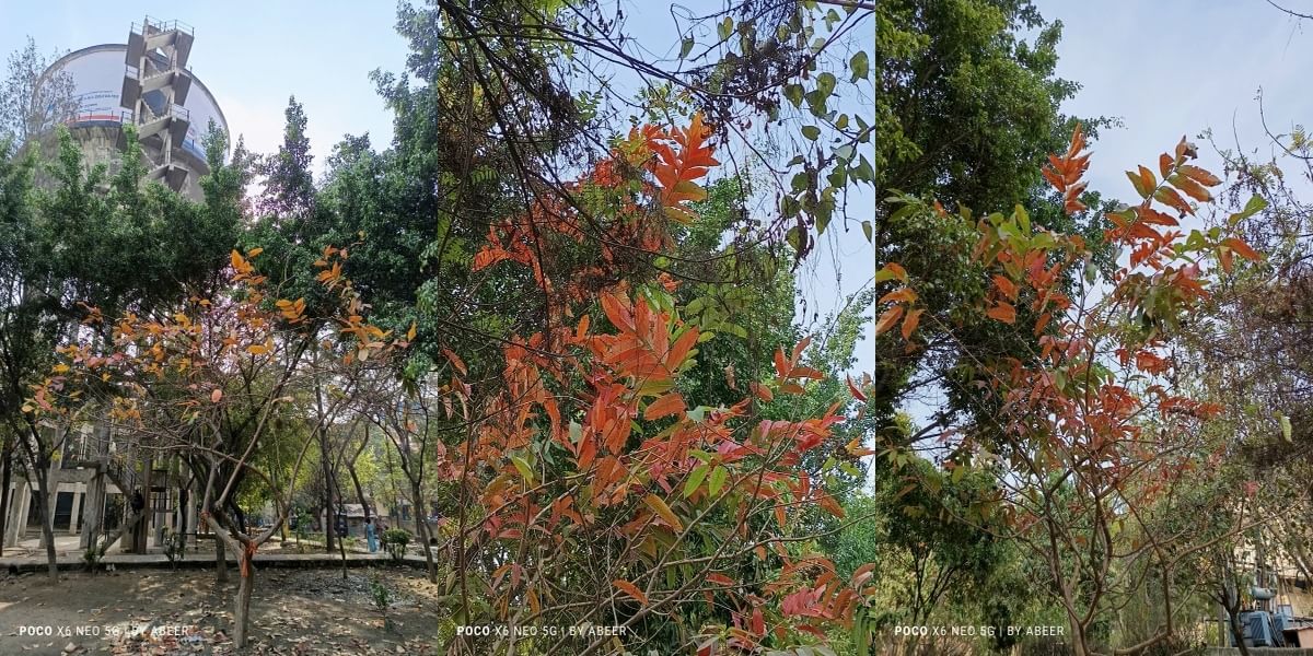 Poco X6 Neo Daylight Sample 7