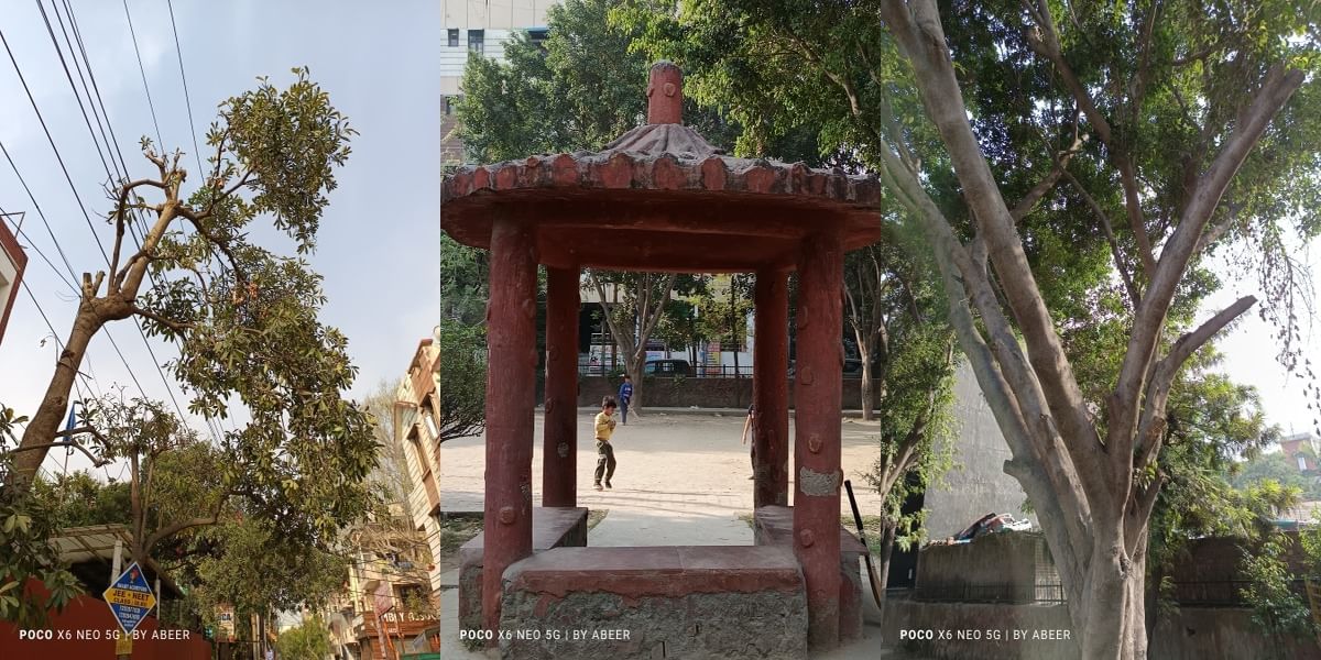 Poco X6 Neo Daylight Sample 8