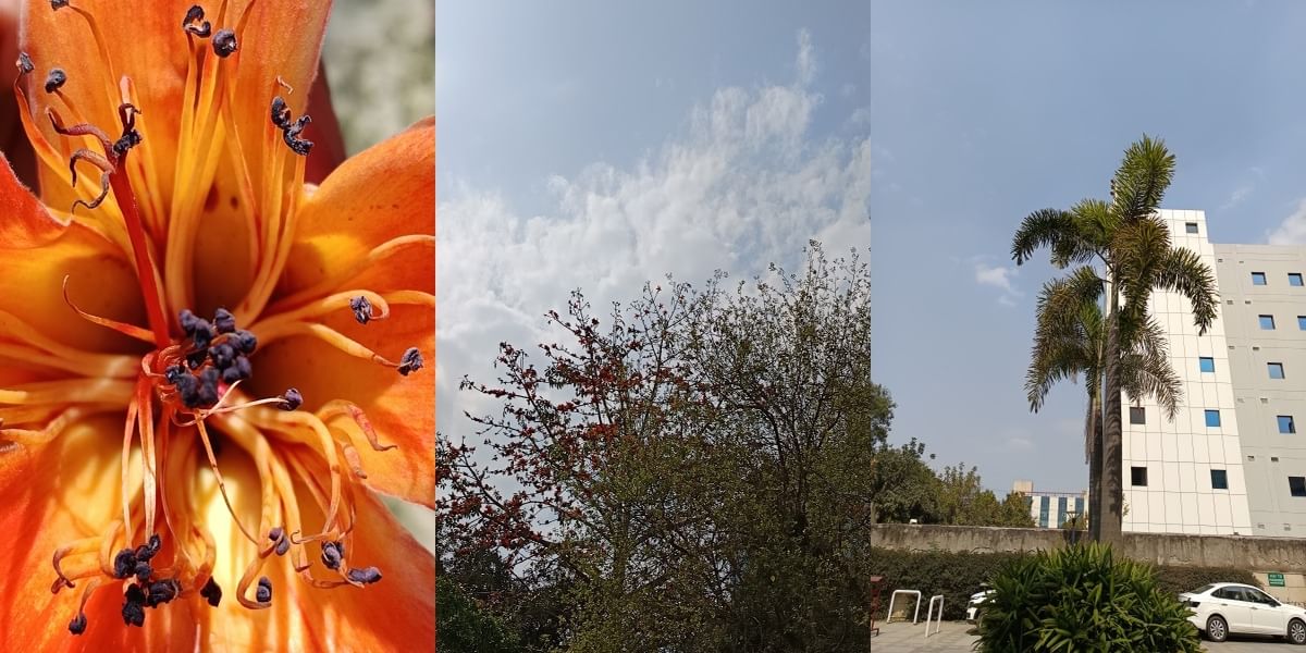 Poco X6 Neo Daylight Sample 14