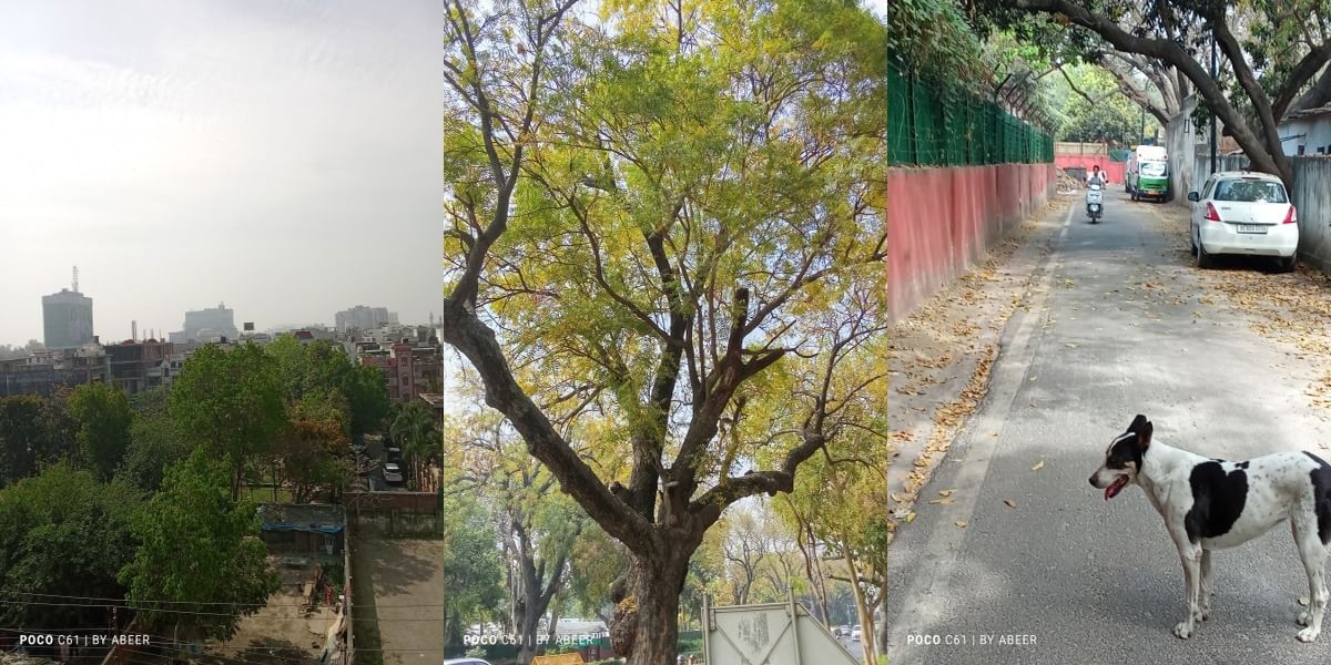 Poco C61 Daylight Shot 1