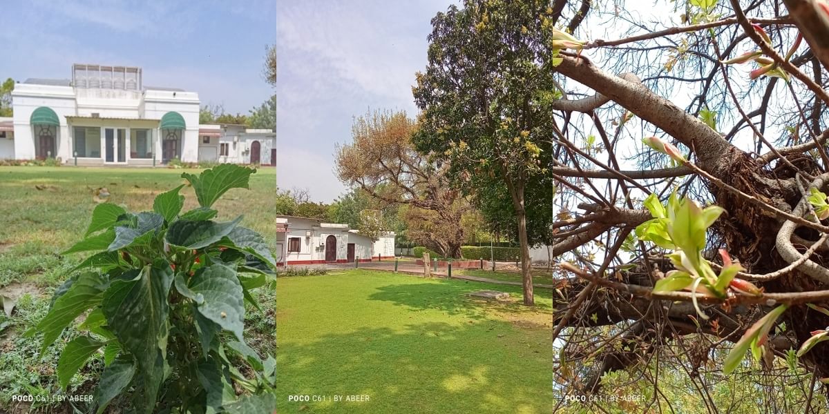 Poco C61 Daylight Shot 4