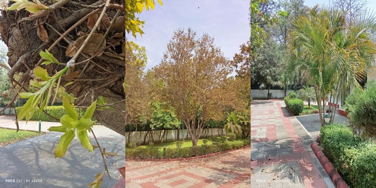 Poco C61 Daylight Shot 5