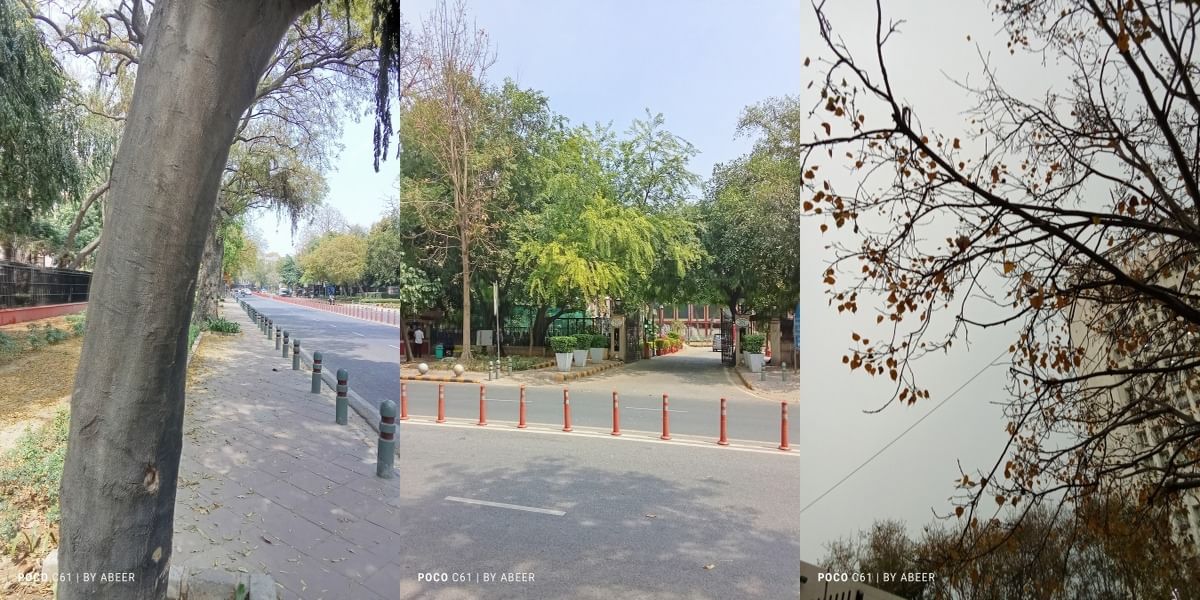 Poco C61 Daylight Shot 10