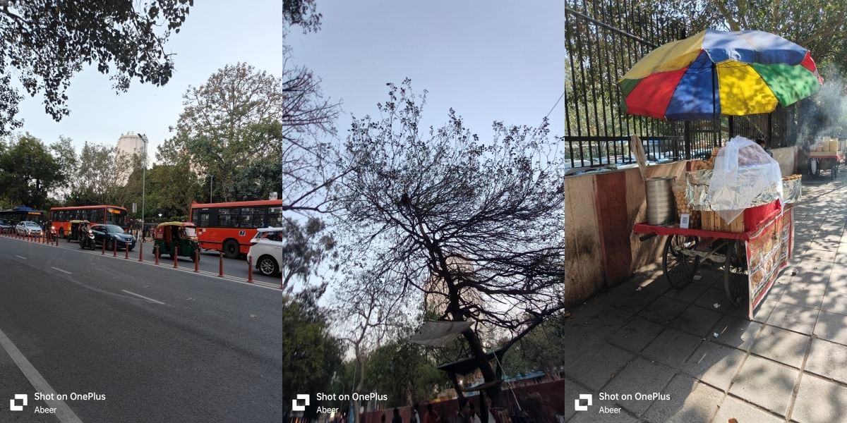 OnePlus 11R Daylight Sample 2