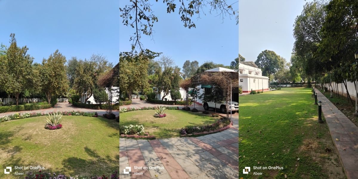 OnePlus 11R Daylight Sample 3