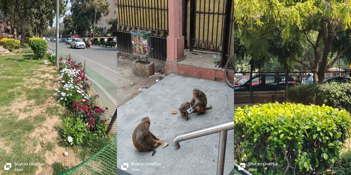 OnePlus 11R Daylight Sample 4