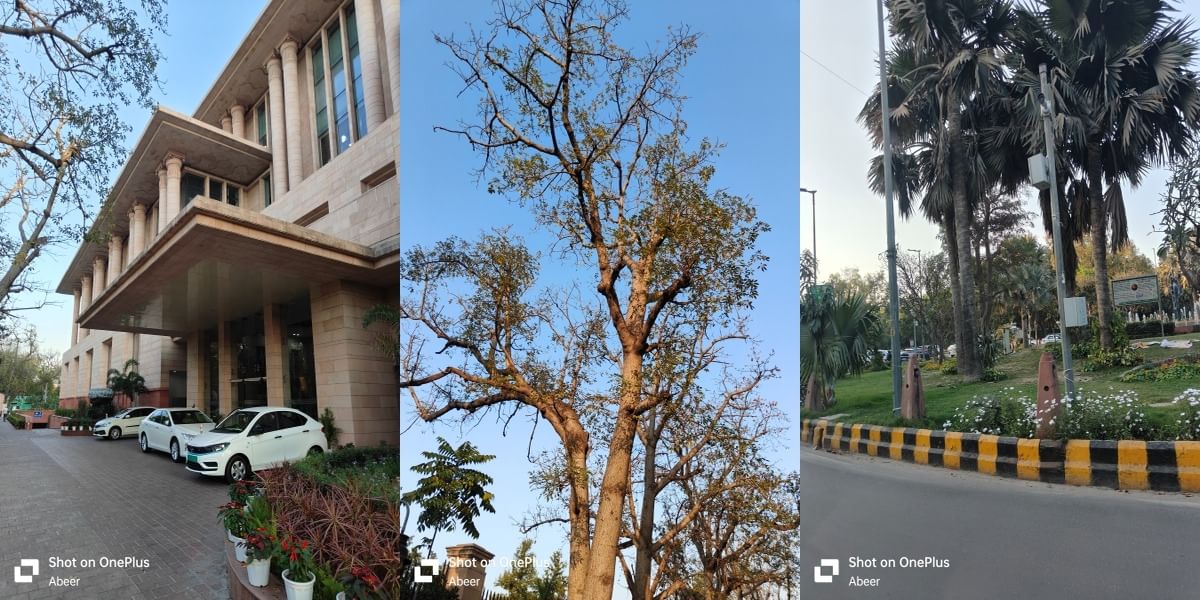 OnePlus 11R Daylight Sample 10