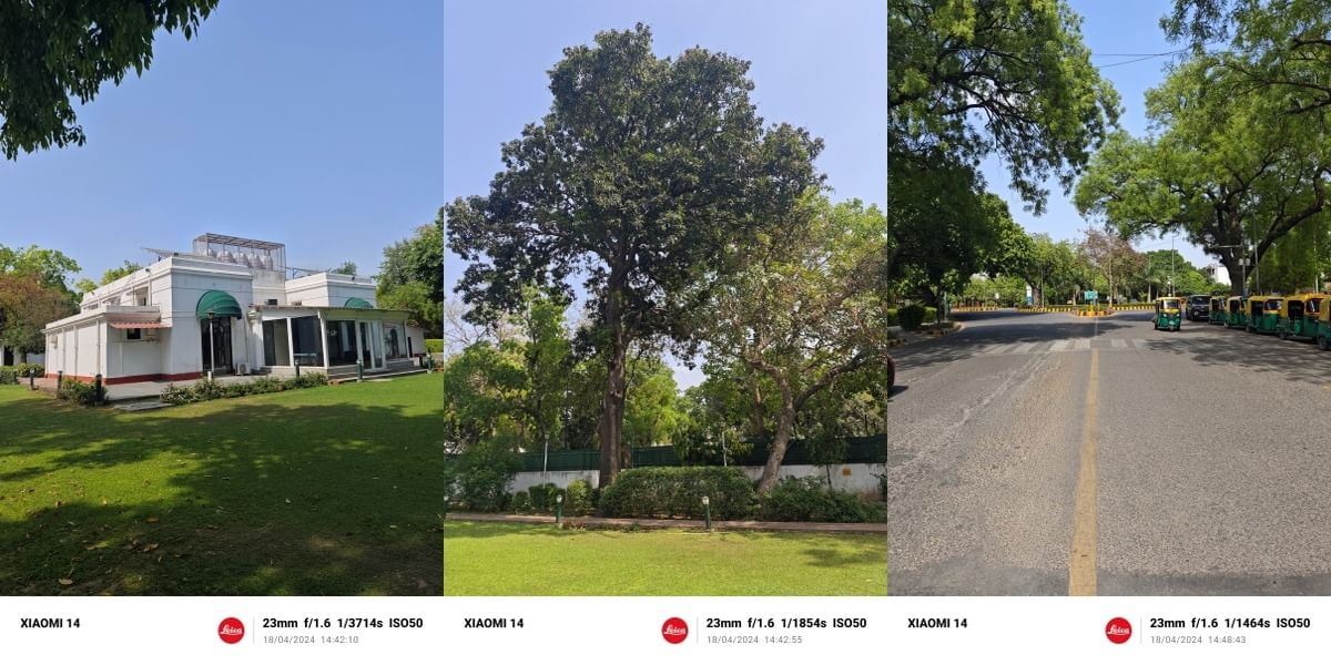 Xiaomi 14 Daylight Sample 2