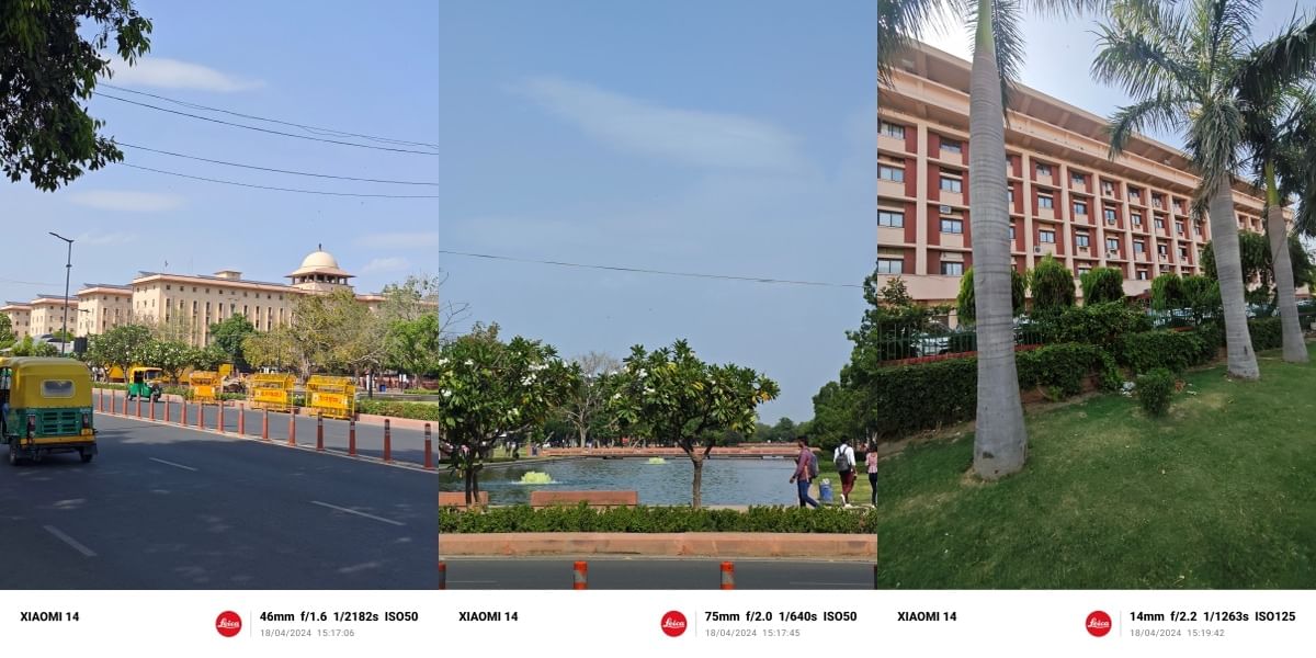 Xiaomi 14 Daylight Sample 7