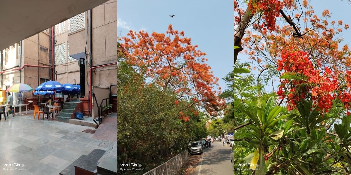 Vivo T3x 5G Daylight Sample 3