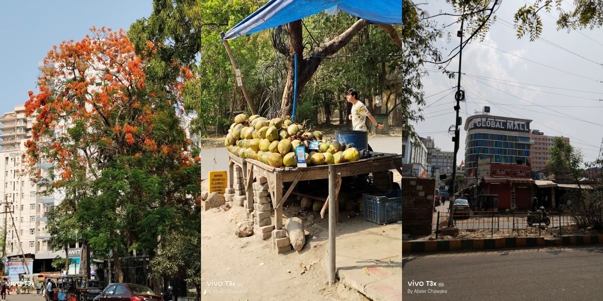 Vivo T3x 5G Daylight Sample 4