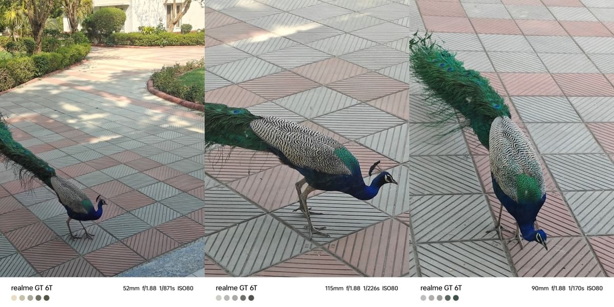 Realme GT 6T Daylight Sample 1