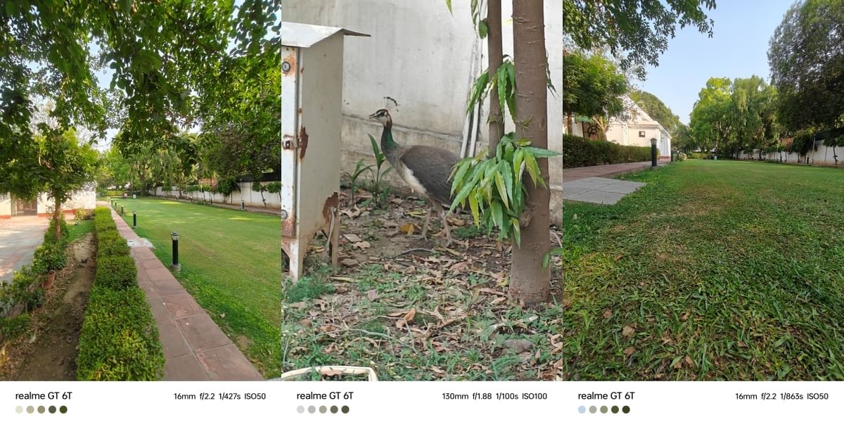 Realme GT 6T Daylight Sample 2