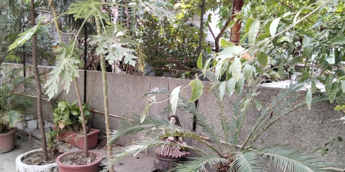 Xiaomi Redmi Pad SE Camera Sample 4
