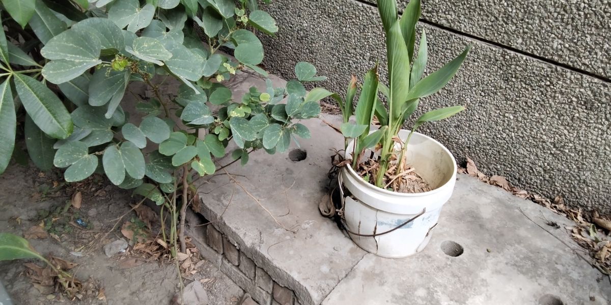 Xiaomi Redmi Pad SE Camera Sample 5