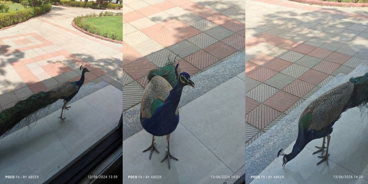 Poco F6 Daylight Sample 3