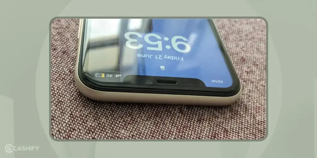 iPhone 11 looks