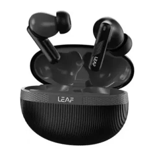 Leaf Buds X342 Front