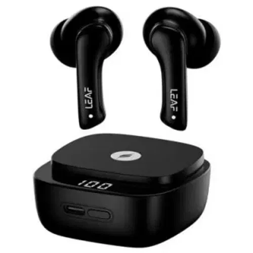 Leaf Buds X614 Front