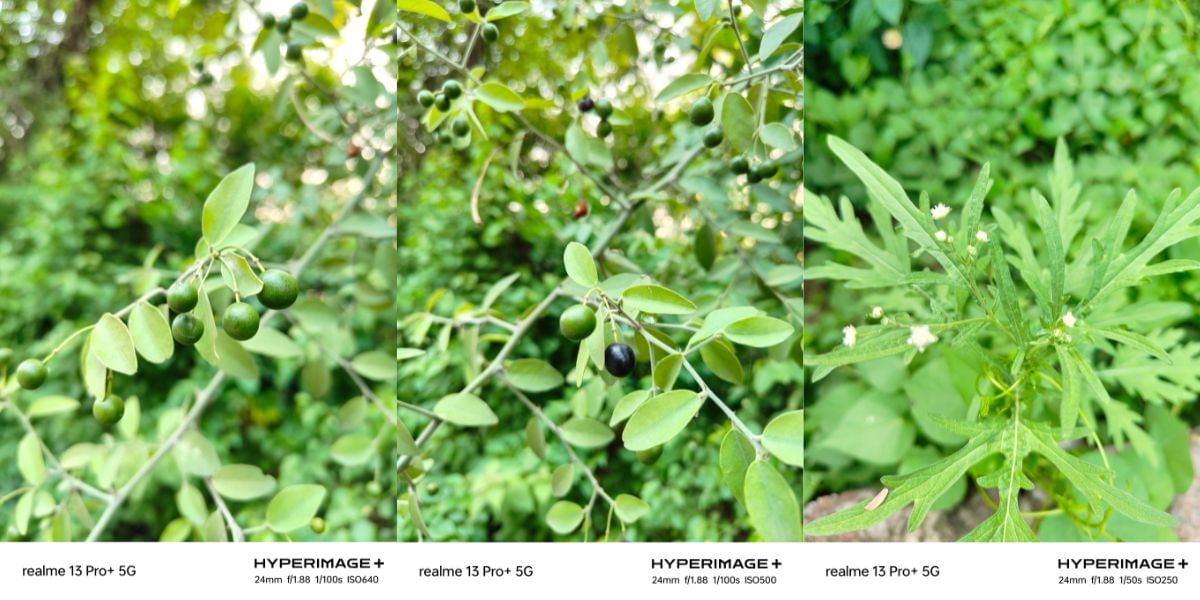 Realme 13 Pro Plus camera