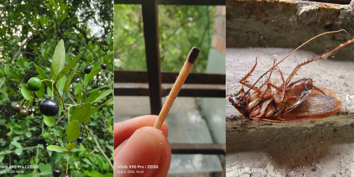 Vivo X90 Pro super micro lens