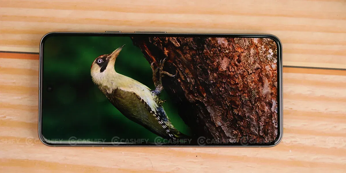 Google Pixel 8 Content Consumption