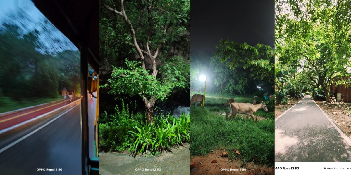 OPPO Reno 12 5G camera sample