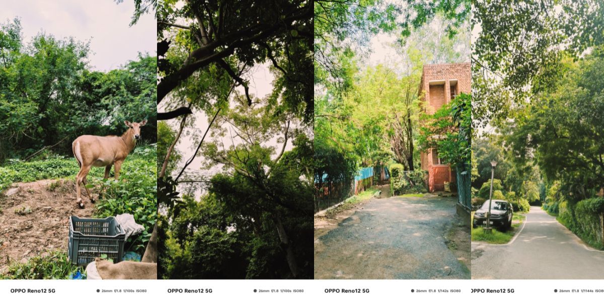 OPPO Reno 12 5G camera sample