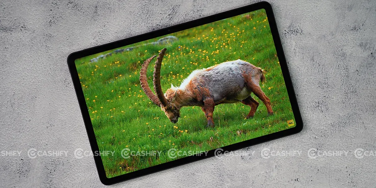 Poco Pad 5G Content Consumption