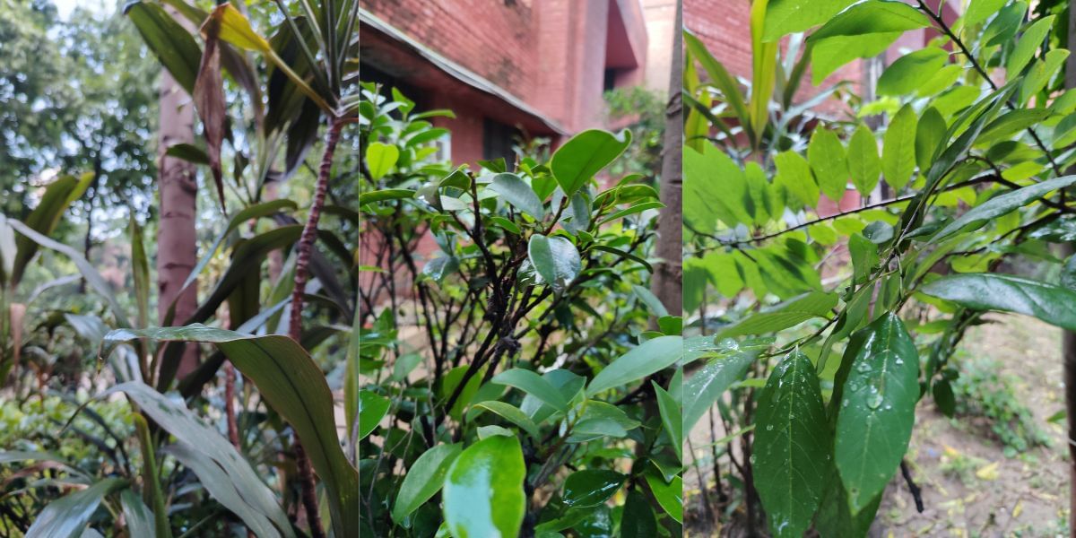 POCO M6 Plus 5G camera sample