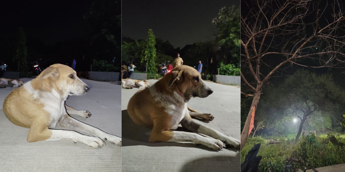 POCO M6 Plus 5G camera sample