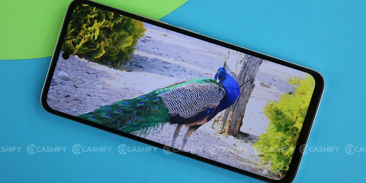POCO M6 Plus 5G display